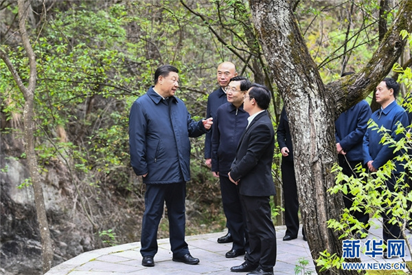 1125896472_15876399741071n_副本.jpg