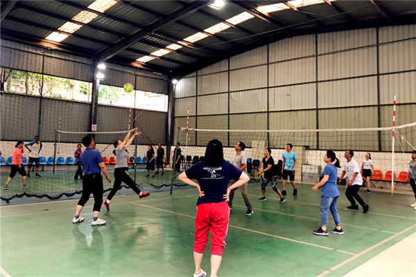 开展气排球友谊赛_副本111.jpg